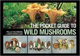 Pocket Guide Mushrooms