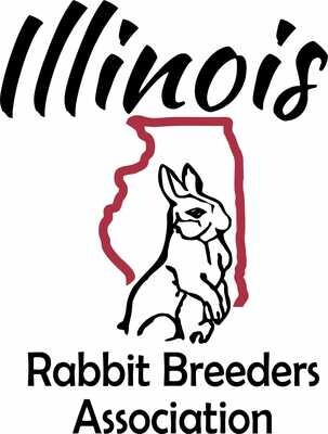 Illinois RBA Unisex Softstyle T Shirt