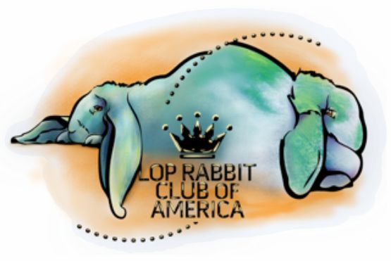 LRCA Sticker