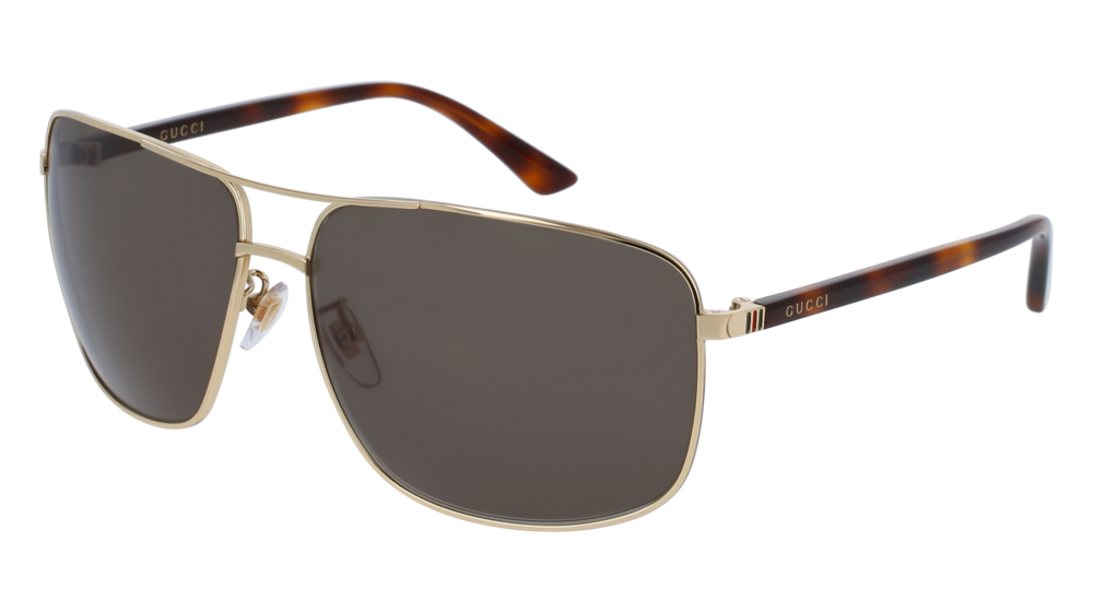 Gucci GG0065SK 004 66