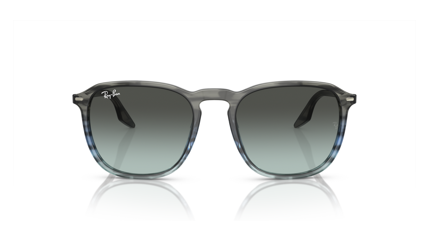 Ray Ban RB2203 1391GK 52