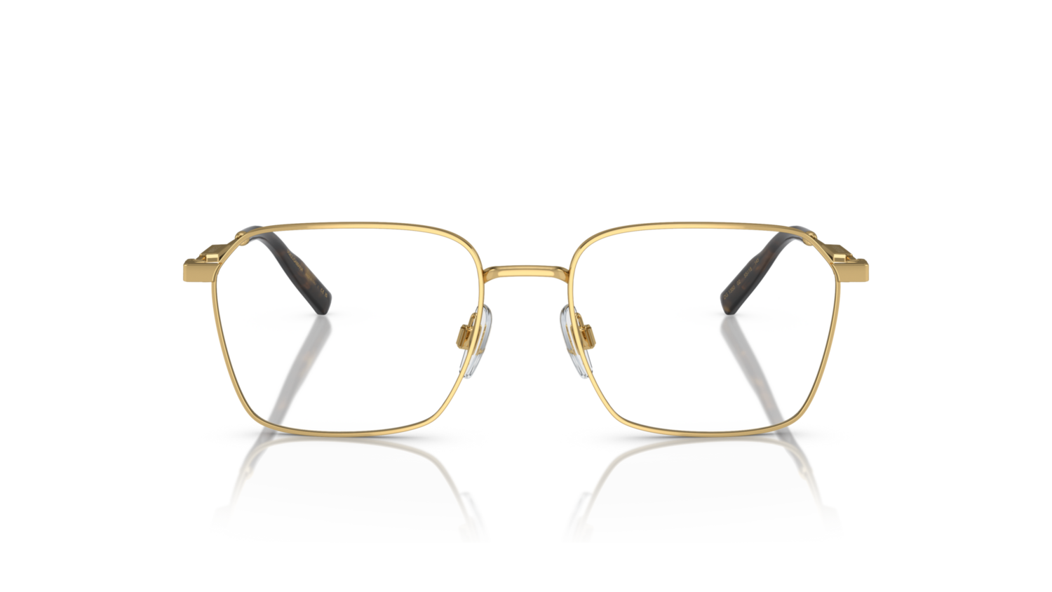 Dolce &amp; Gabbana DG1350 02 55