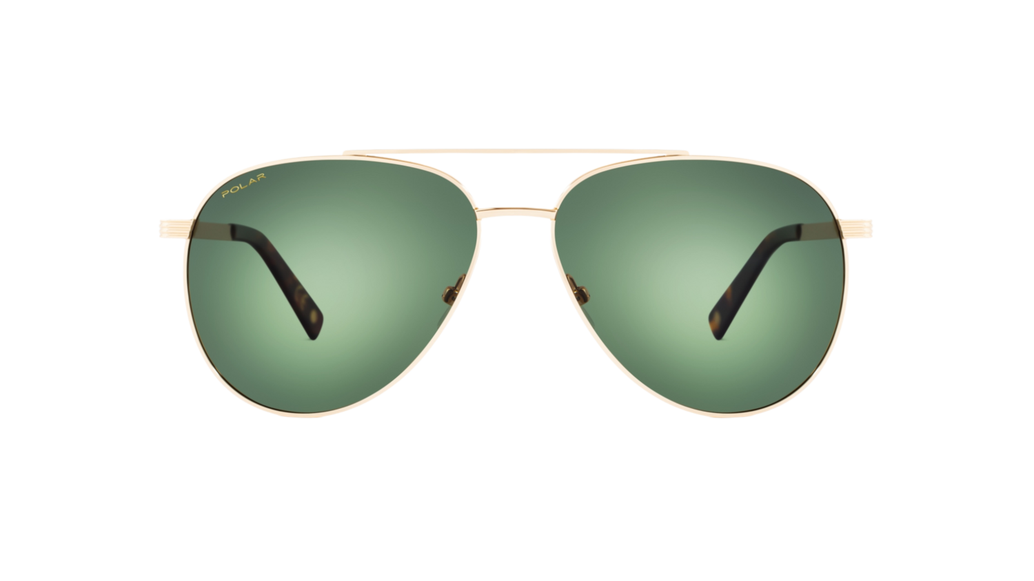 Polar Gold 301 02/G 60
