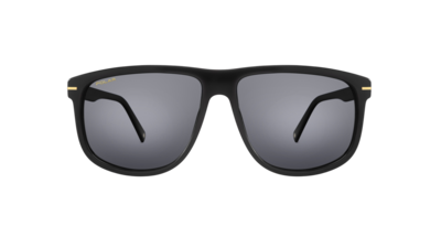 Polar Gold 132 77 60