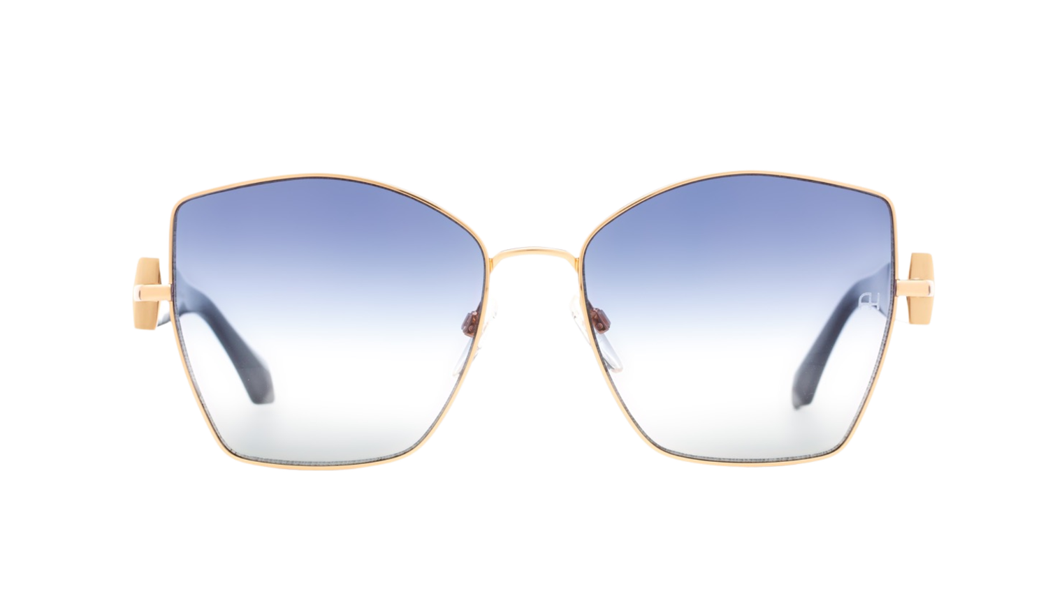 Ana Hickmann AH3280 05A 60