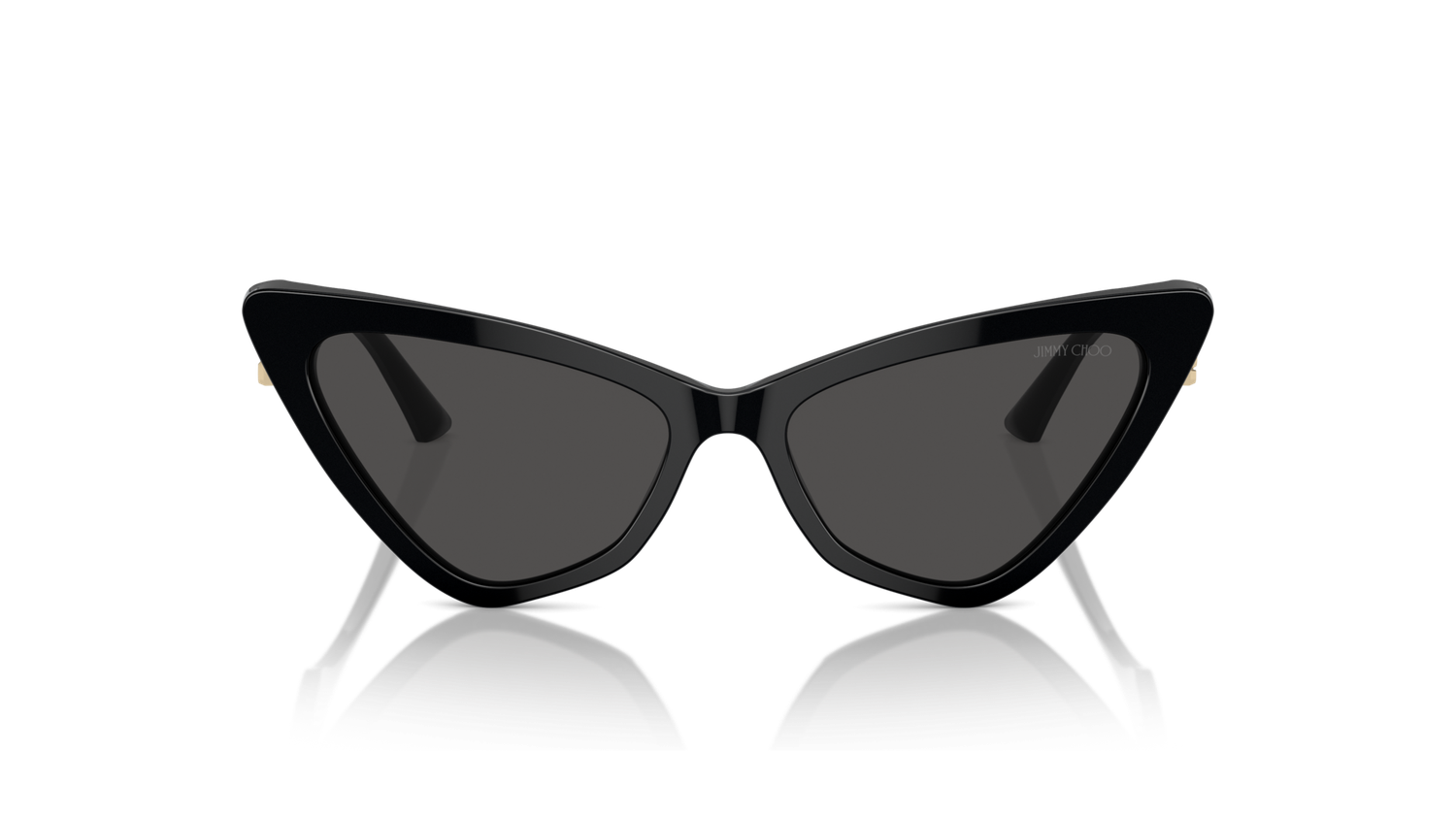 Jimmy Choo JC5008 500087 55
