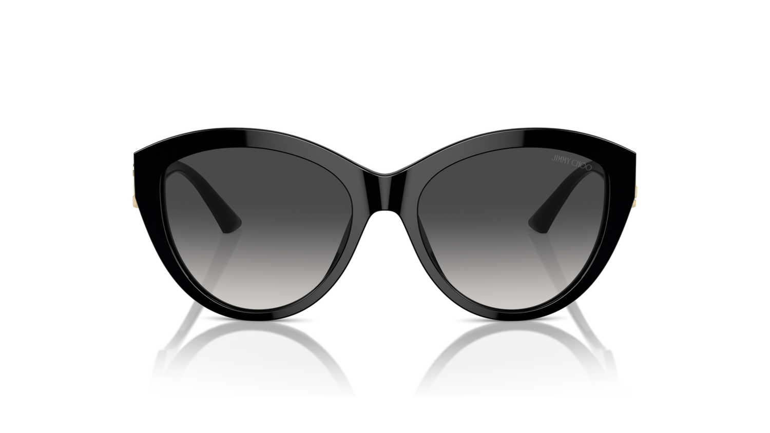 Jimmy Choo JC5007 50008G 55