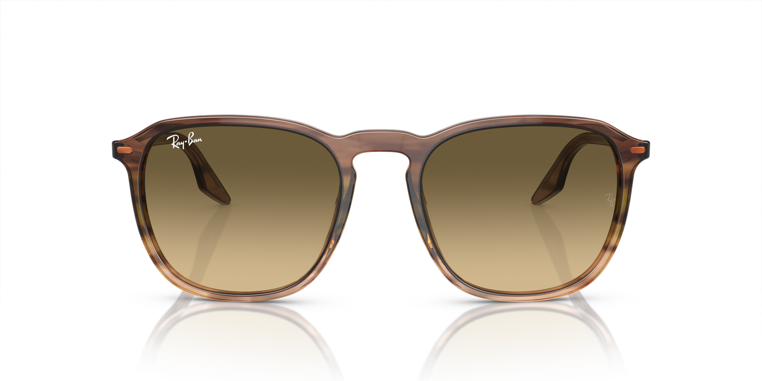 Ray Ban RB2203 13920A 55