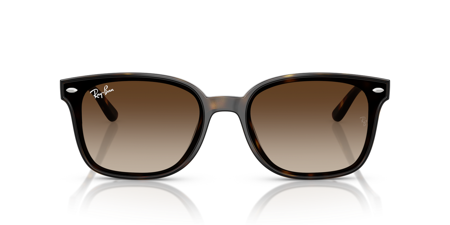 Ray Ban RB4461D 710/13 64