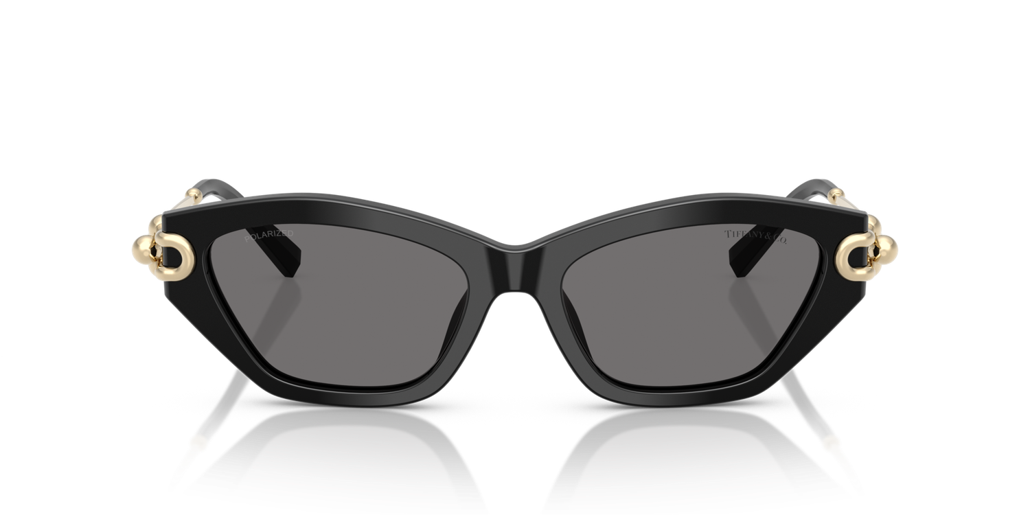 Tiffany &amp; Co. TF4231U 800181 53