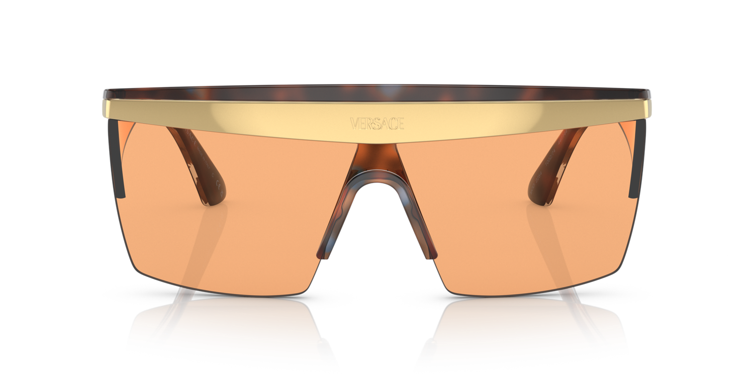 Versace VE2254 100274 44