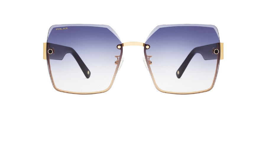 Polar Gold 6004 78 61