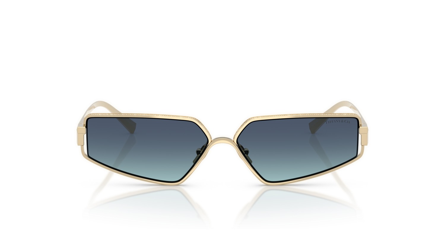 Tiffany &amp; Co. TF3113KB 62239S 60