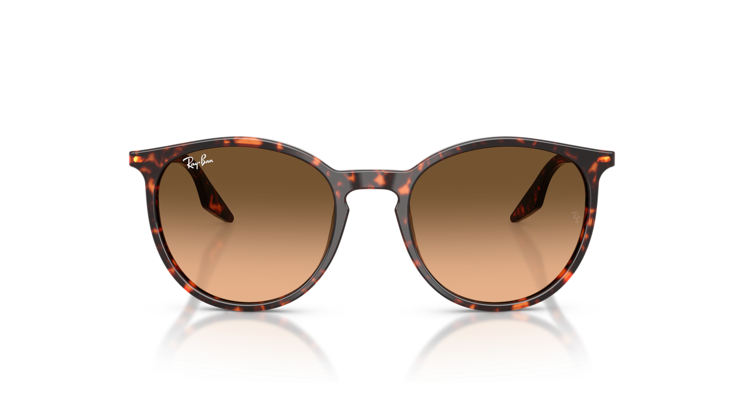Ray Ban RB2204 14293B 51