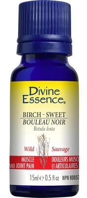 Divine Essence Bouleau 15ml
