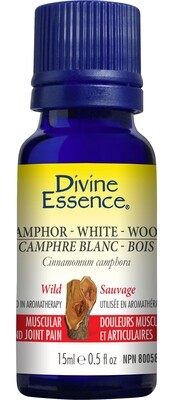 Divine Essence Camphre blanc 15ml