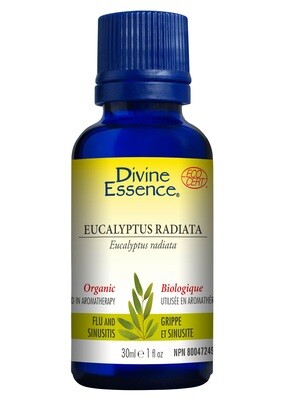 Divine Essence Eucalyptus Radiata 30ml