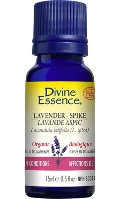 Divine Essence Lavande aspic 15ml