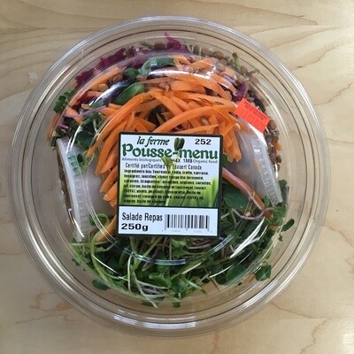 Pousse-menu Salade repas bio 250g