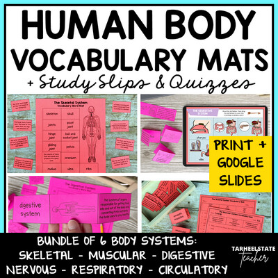 Human Body Systems Vocabulary Activities Printable w Google Slides