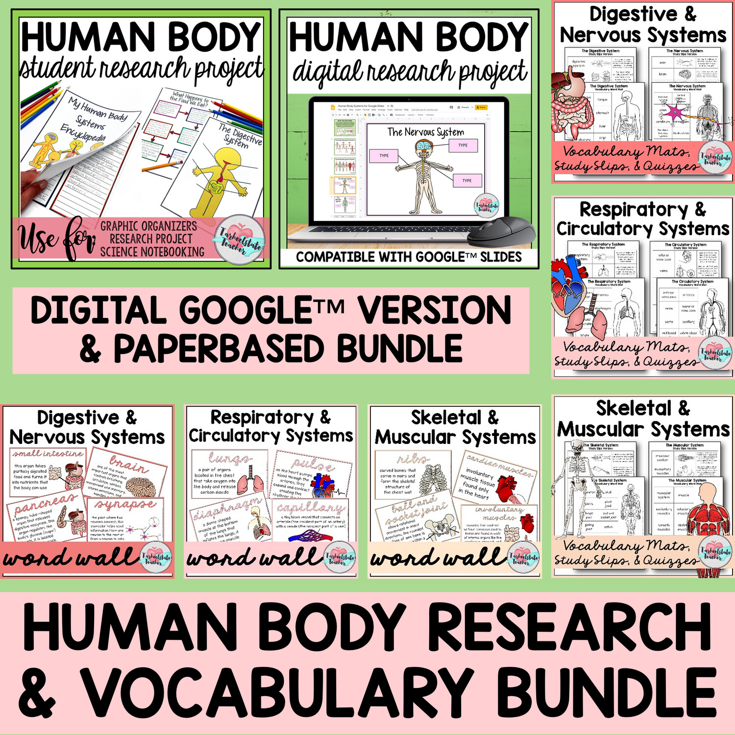 Human Body Systems Research Project and Vocabulary Activities Bundle