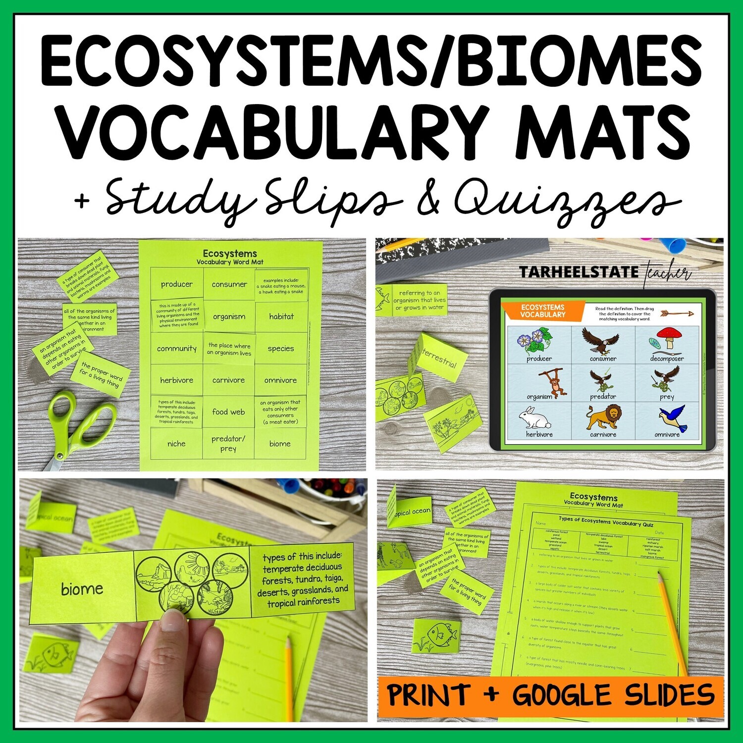 Ecosystems and Biomes Vocabulary Activities Printable and Google Slides