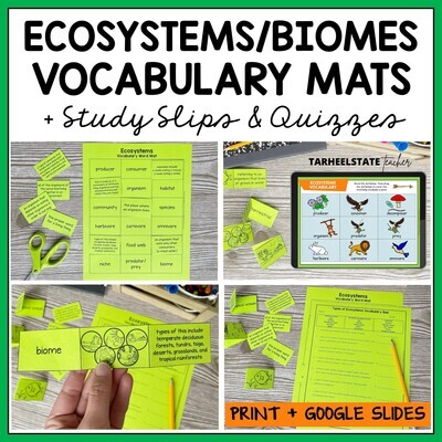 Ecosystems and Biomes Vocabulary Activities Printable and Google Slides