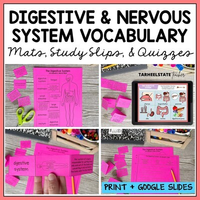 Digestive and Nervous System Vocabulary Mats, Study Slips, and Quizzes