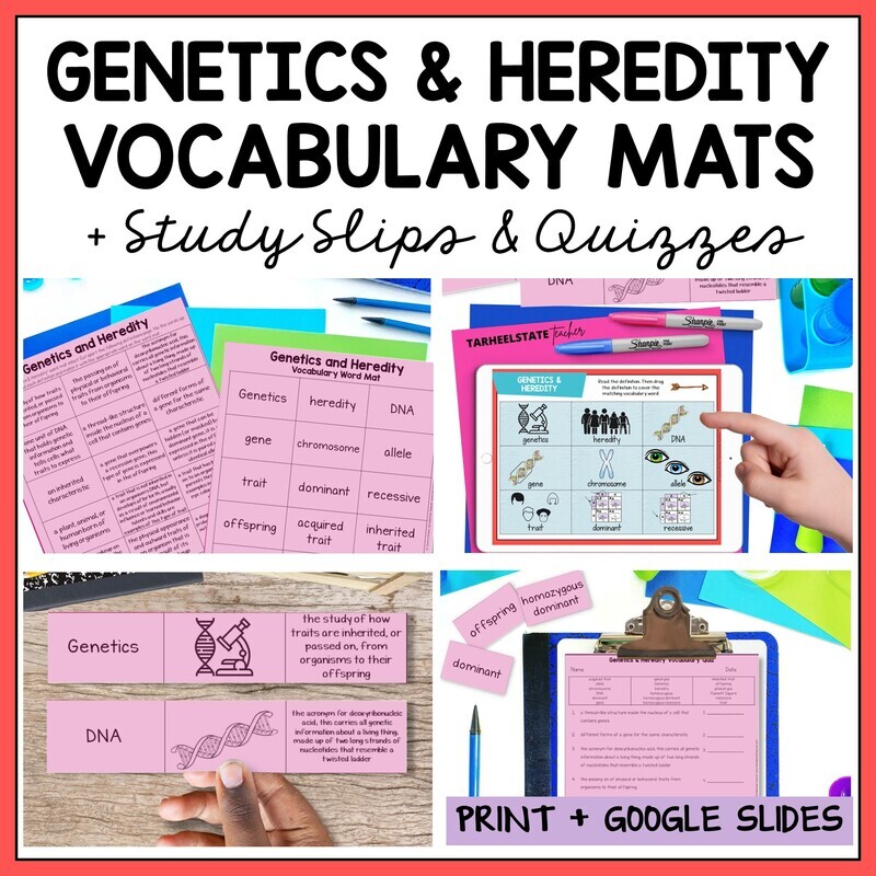 Genetics and Heredity Vocabulary Activities Mats, Study Slips, and Quizzes