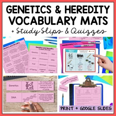 Genetics and Heredity Vocabulary Activities Mats, Study Slips, and Quizzes
