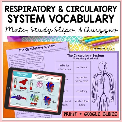 Respiratory and Circulatory System Vocabulary Mats, Study Slips, and Quizzes