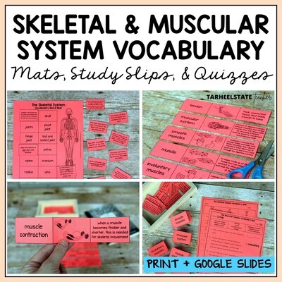 Skeletal and Muscular System Vocabulary Mats, Study Slips, and Quizzes