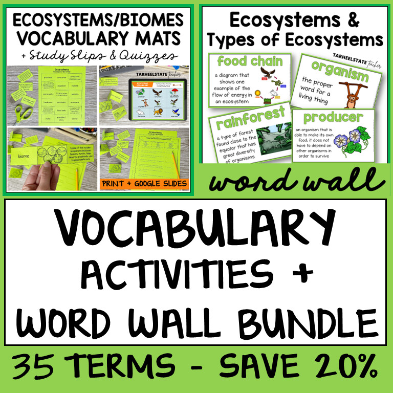 Ecosystems and Biomes Vocabulary Activities Bundle