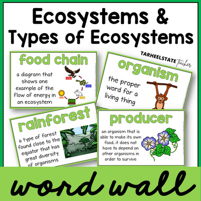 Ecosystems and Biomes Vocabulary Science Word Wall