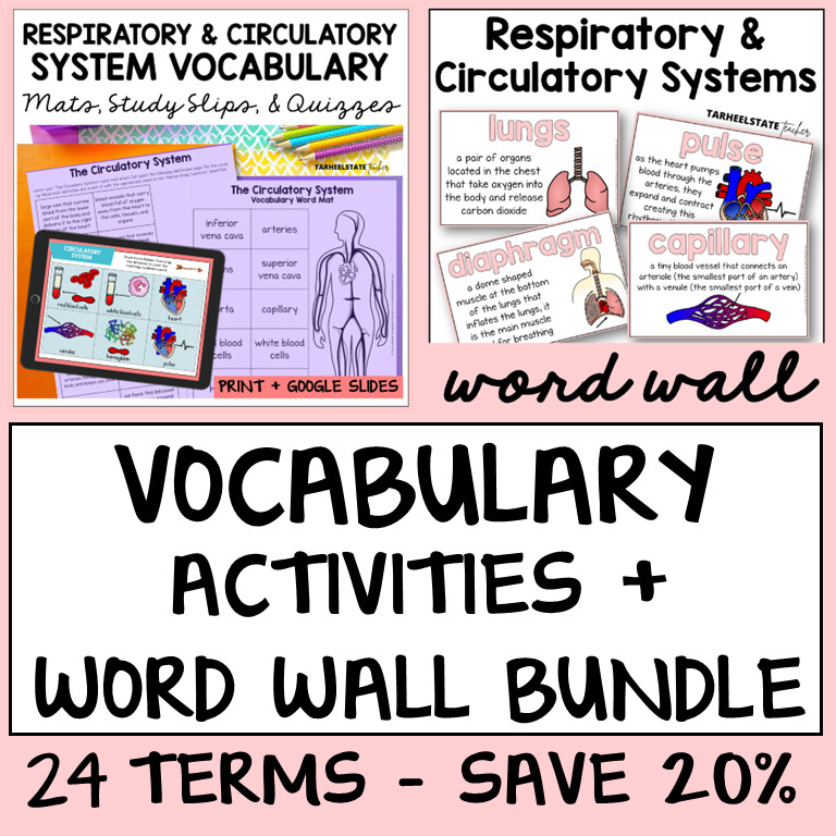 Respiratory and Circulatory System Vocabulary Activities Bundle