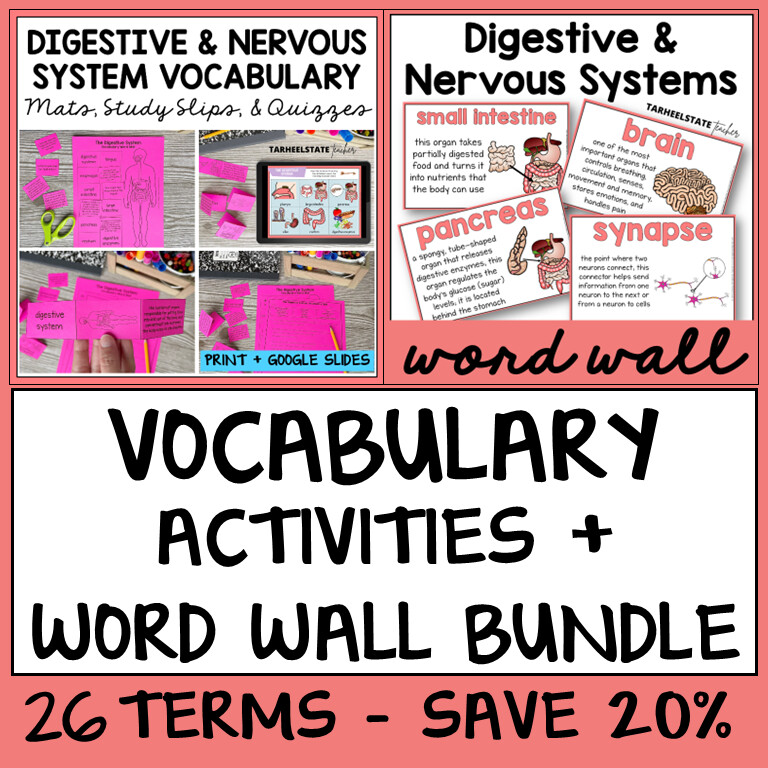 Digestive and Nervous System Vocabulary Activities Bundle
