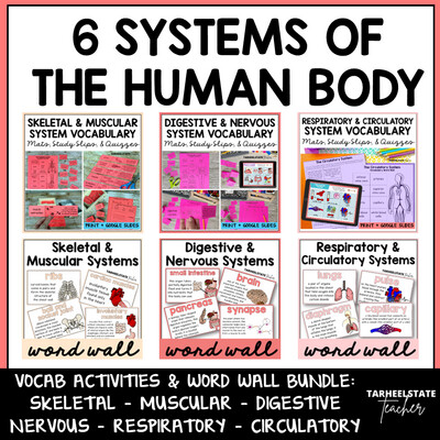 6 Systems of the Human Body Activities and Word Walls Bundle