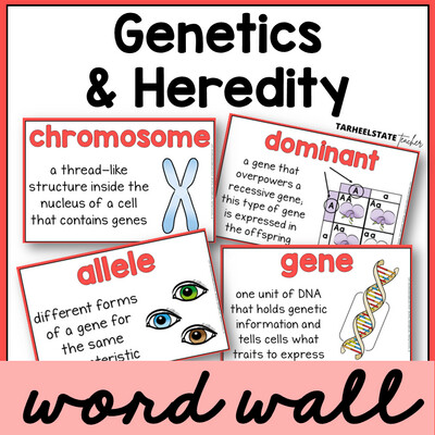 Genetics and Heredity Definitions Vocabulary Science Word Wall