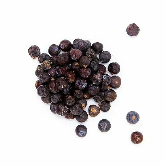 Juniper Berries - Lrg Bag (4oz)