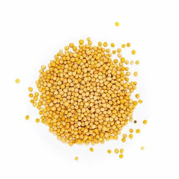 Mustard Seed Yellow Organic - Lg Bag (4 oz)