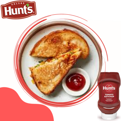 KETCHUP HUNTS TRADICIONAL 14 OZ