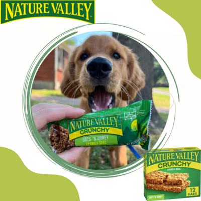 NATURE VALLEY GRANOLA BARS OATS ́N HONEY 8.9 OZ