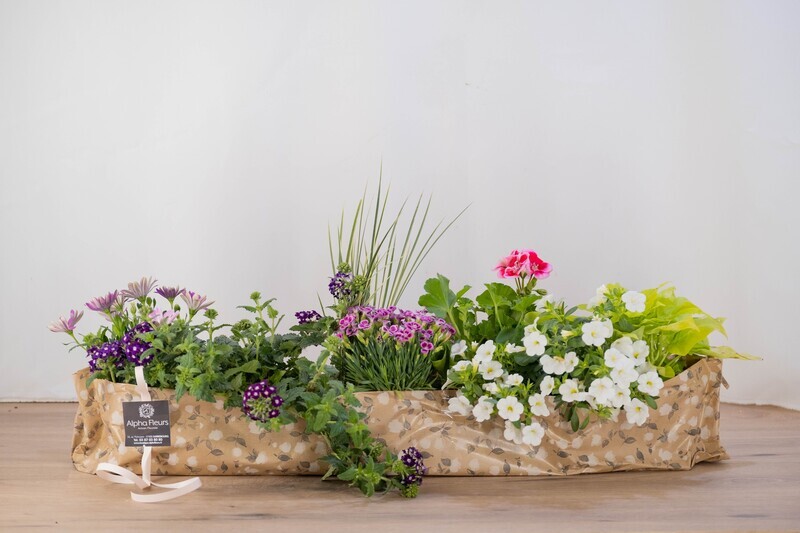 1 mètre de plantes