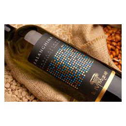 Falanghina 75cl Falanghina 75cl