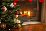 CHRISTMAS PRODUCTS/ 1SALAMI FUET