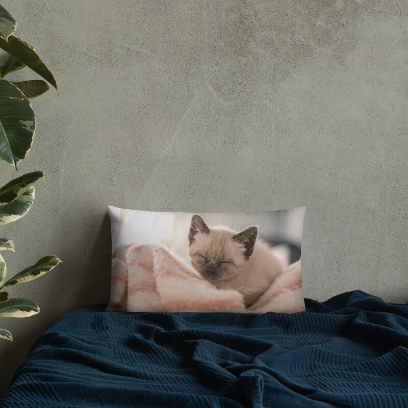 Cute Kitten Premium Pillow