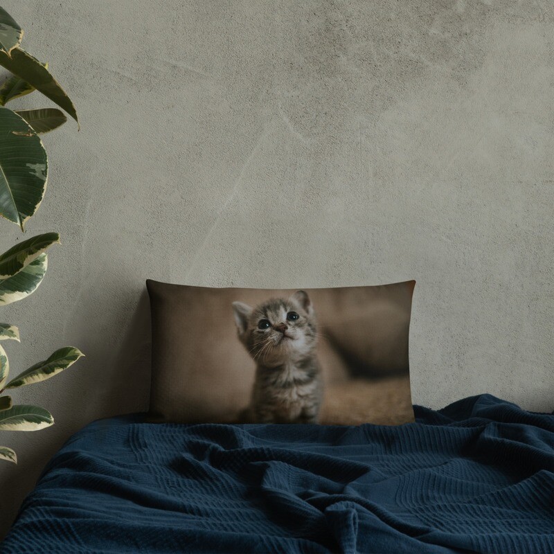 Beautiful Kitten Premium Pillow
