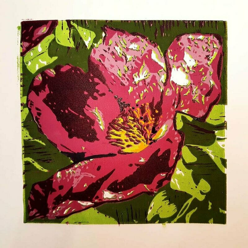 Linoldruck Zistrose 1/10, 30x30 cm