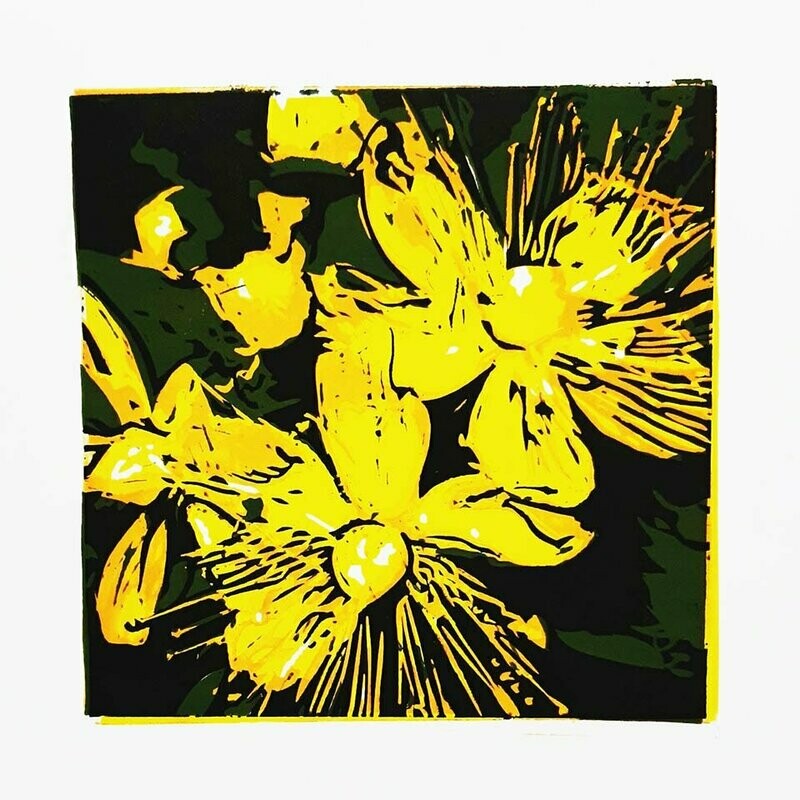 Linoldruck Johanniskraut,  30x30