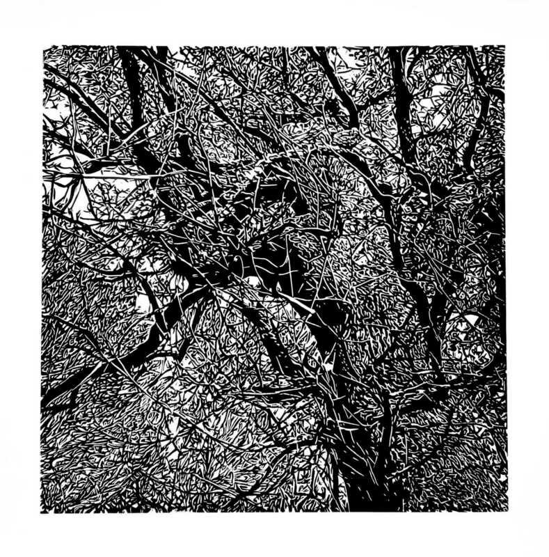 Zucheringer Wald, Linoldruck 60x60 cm